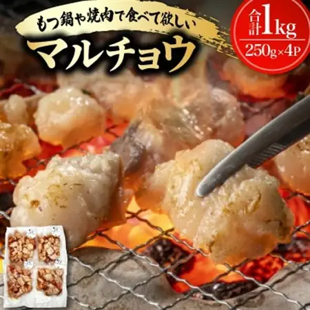 もつ鍋や焼肉で食べて欲しい!マルチョウ 1kg(250g×4P)【配送不可地域：離島】【1725883】