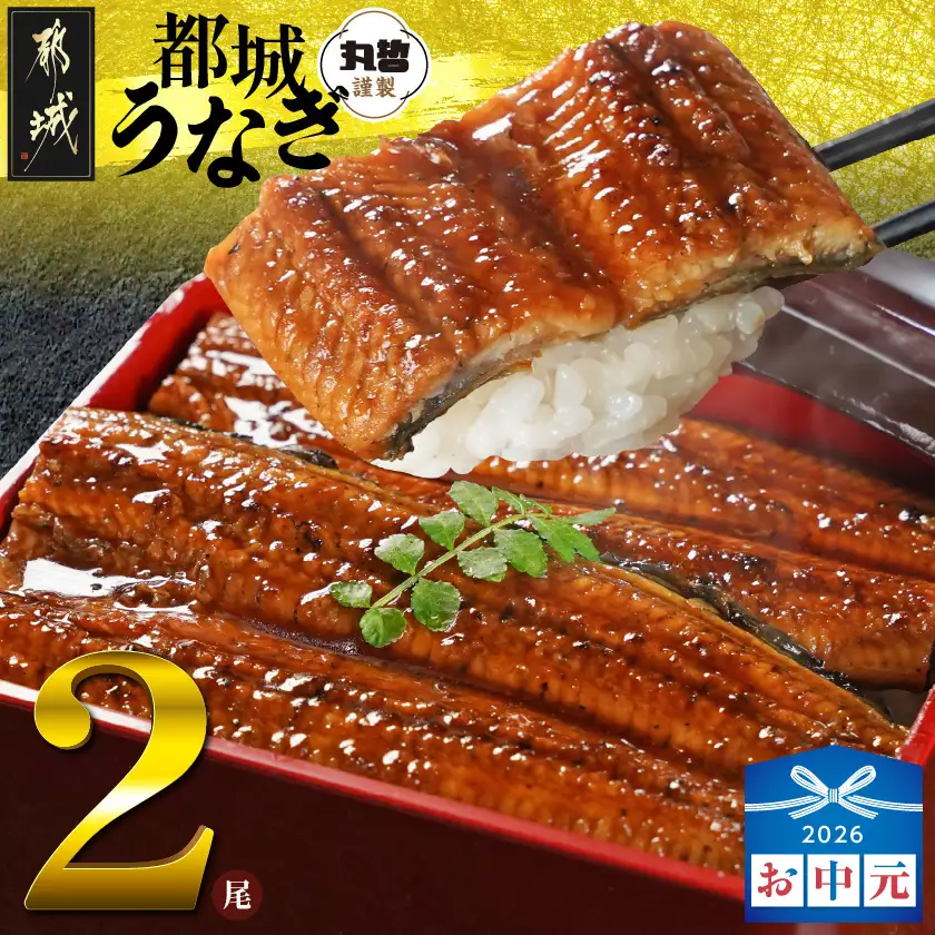 【お中元】宮崎県育ちのうなぎ蒲焼2尾300g以上≪山椒・たれ付≫〔13-M301-SG〕