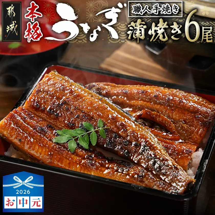 【お中元】職人手焼きの本格うなぎ蒲焼き6尾〔38-33-003-6-SG〕_(都城市) 鰻蒲焼 6尾 タレ付き 国産 蒲焼き 特製たれ付き 冷凍 ウナギ かば焼き うなぎ ギフト 贈答用