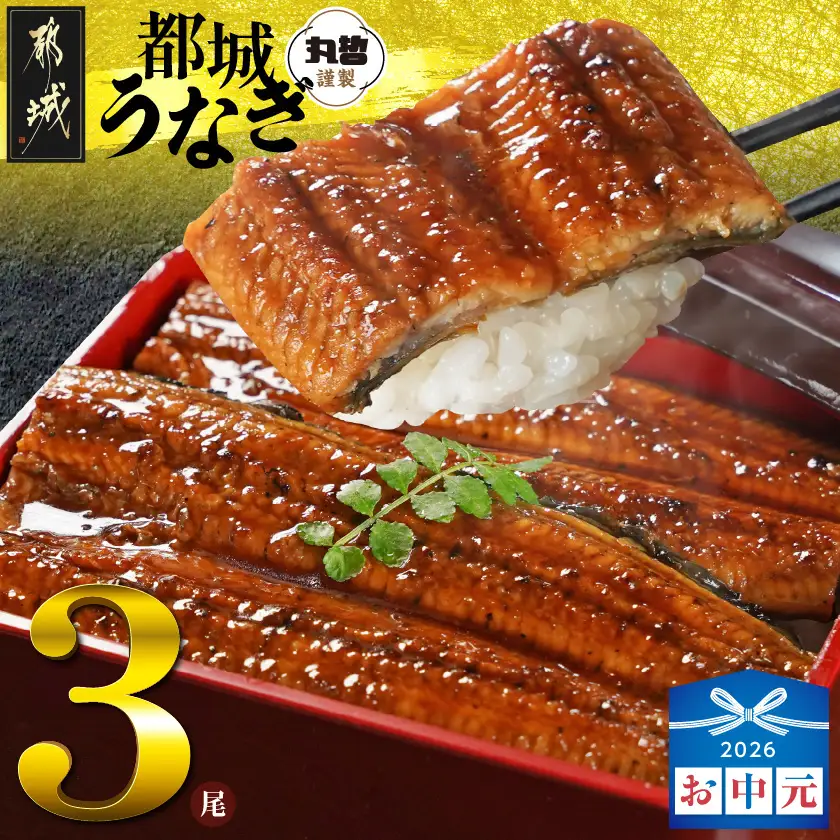 【お中元】宮崎県育ちのうなぎ蒲焼3尾500g以上≪山椒・たれ付≫〔AC-M301-SG〕