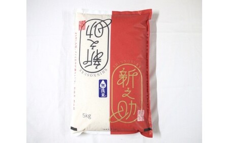 【令和7年産米】【無洗米】新潟県村上市 岩船産 新之助5kg 1029013