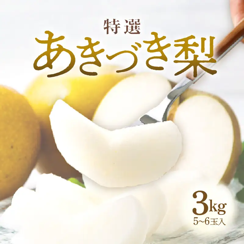 【先行予約】《数量限定》あきづき梨 3kg 特選 5玉～6玉入り もぎたて 新鮮 ※2026年9月中旬より順次発送予定 [aw042-a005]