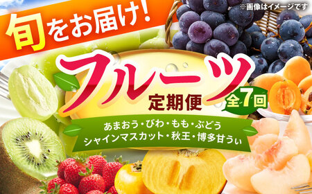 【7回定期便】フルーツ定期便（あまおう/びわ/桃/ぶどう/シャインマスカット/柿/キウイ） 広川町 / JAふくおか八女農産物直売所どろや[AFAB093]