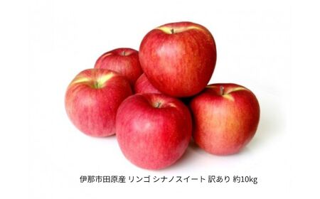 伊那市田原産 リンゴ シナノスイート 訳あり 約10kg【019-23】