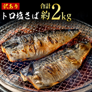 訳あり トロ 塩さば 2kg サバ