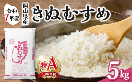 令和7年産 岡山県産米 きぬむすめ 5kg 米 （5kg×1袋）