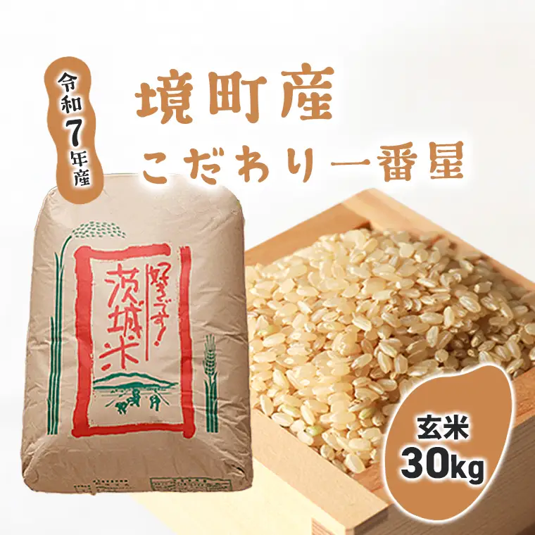 【令和7年産】境町のこだわり玄米 「一番星」30kg S252