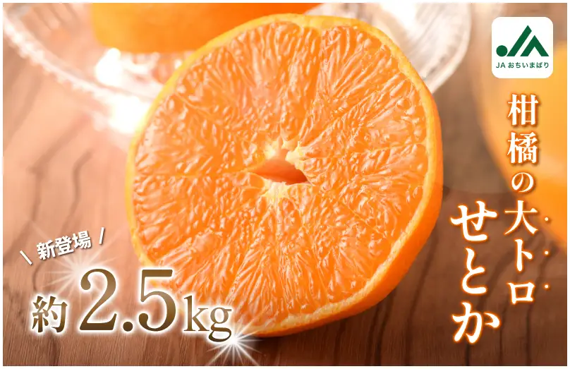 【先行予約】せとか（家庭用）レギュラー箱 約2.5kg【KC00770K3】