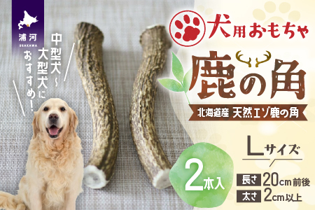 犬用「鹿の角」Ｌサイズ×2本[53-1597]