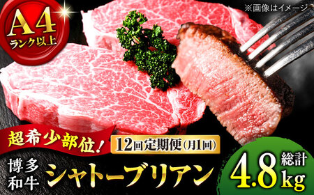 【全12回定期便】希少部位！ 博多和牛 牛肉 ヒレ シャトーブリアン 400g（200g×2）桂川町/肉のくまもと屋[ADCI005]