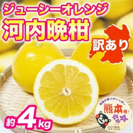河内晩柑(ジューシーオレンジ)みかん 訳あり 約4kg(益城町)【1726321】