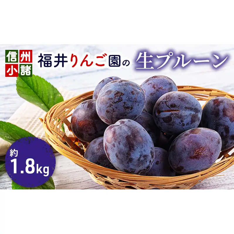 信州小諸・福井りんご園の生プルーン　約1.8kg 果物詰合せ フルーツ 