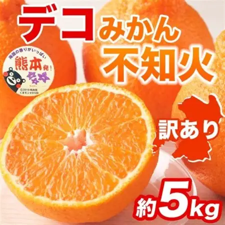 不知火 デコみかん 訳あり 約5kg(益城町)【1726340】