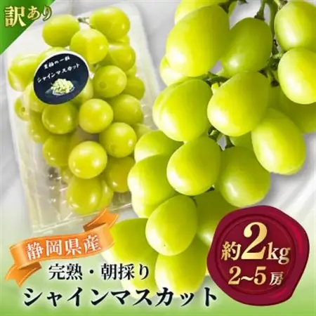 【2026年先行予約】 シャインマスカット 訳あり 約2kg 2房～5房 完熟 朝採り 静岡県産【配送不可地域：離島・沖縄県】【1723183】