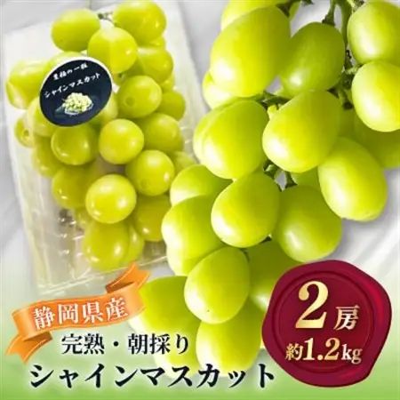 【2026年先行予約】 シャインマスカット 2房 約1.2kg 厳選 完熟 朝採り 静岡県産【配送不可地域：離島・沖縄県】【1723184】