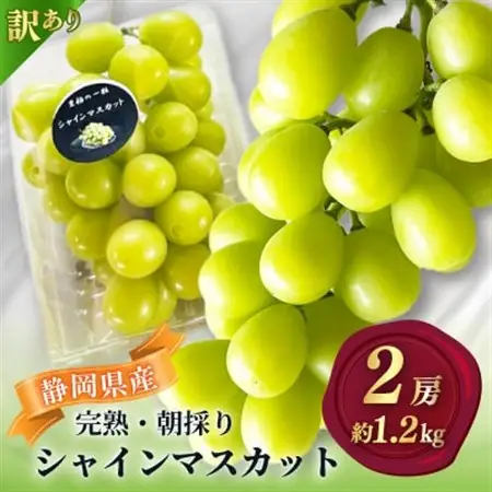 【2026年先行予約】 シャインマスカット 訳あり 2房 約1.2kg 完熟 朝採り 静岡県産【配送不可地域：離島・沖縄県】【1723185】
