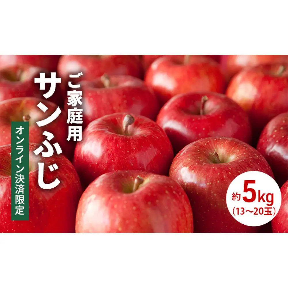 長野市産 サンふじ りんご 家庭用 訳あり 5kg 【2027年1月中旬頃より発送予定】 | りんご フルーツ