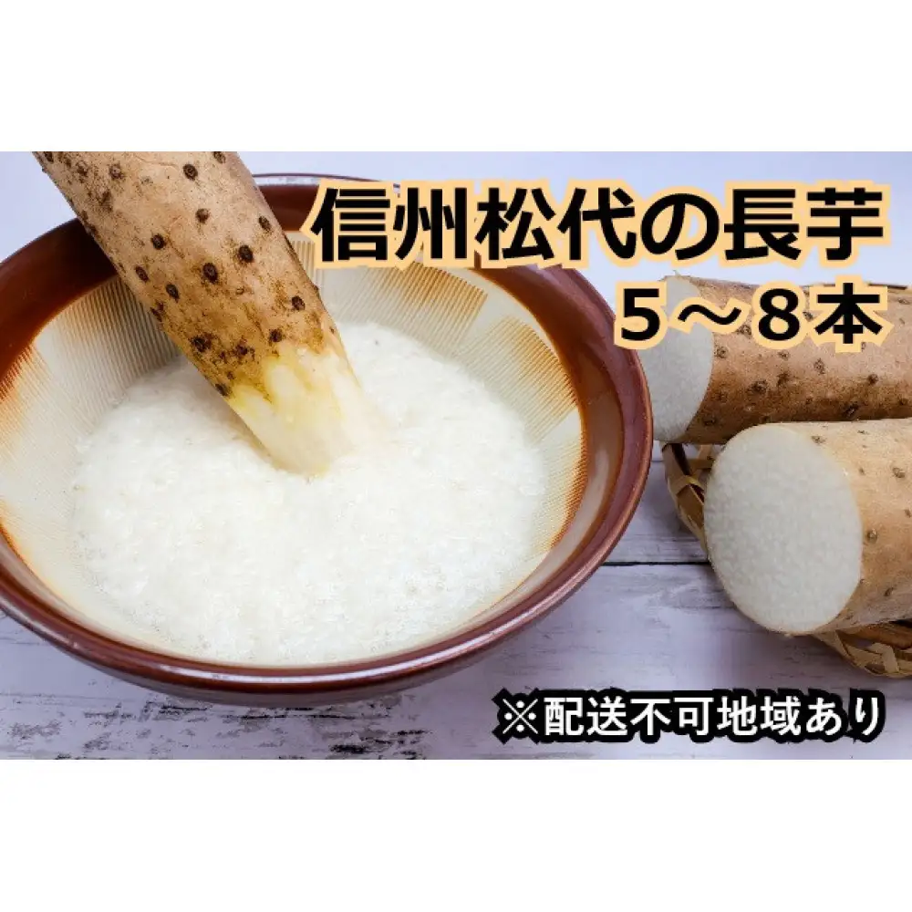 信州の長芋【調理しやすい食べきりサイズ】5～8本入り | 長芋