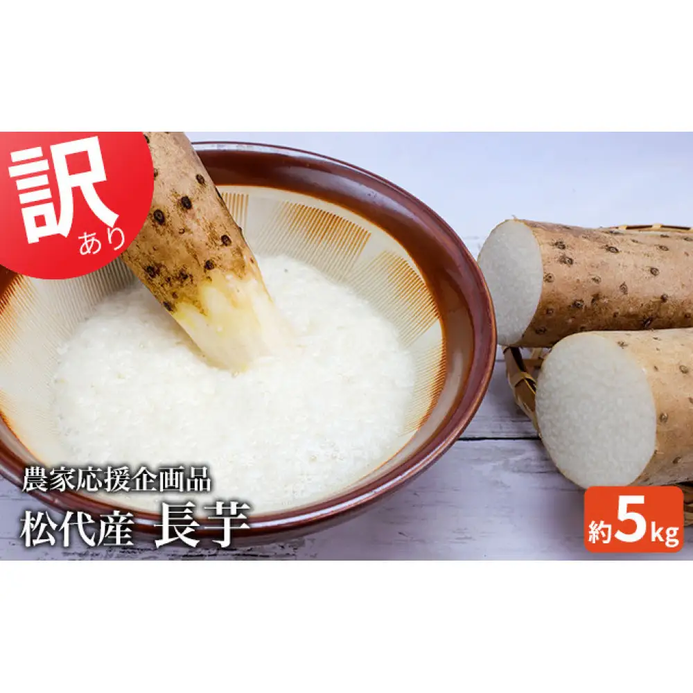 松代産長芋約5kg【地域の生産者応援の品(訳あり品)】 | 長芋