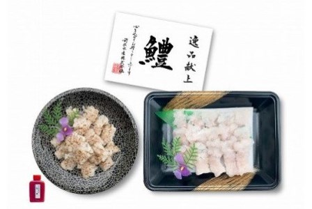 淡路島産活きはも（炙り＋上身付き）3人前　◆配送6月3日～8月30日
