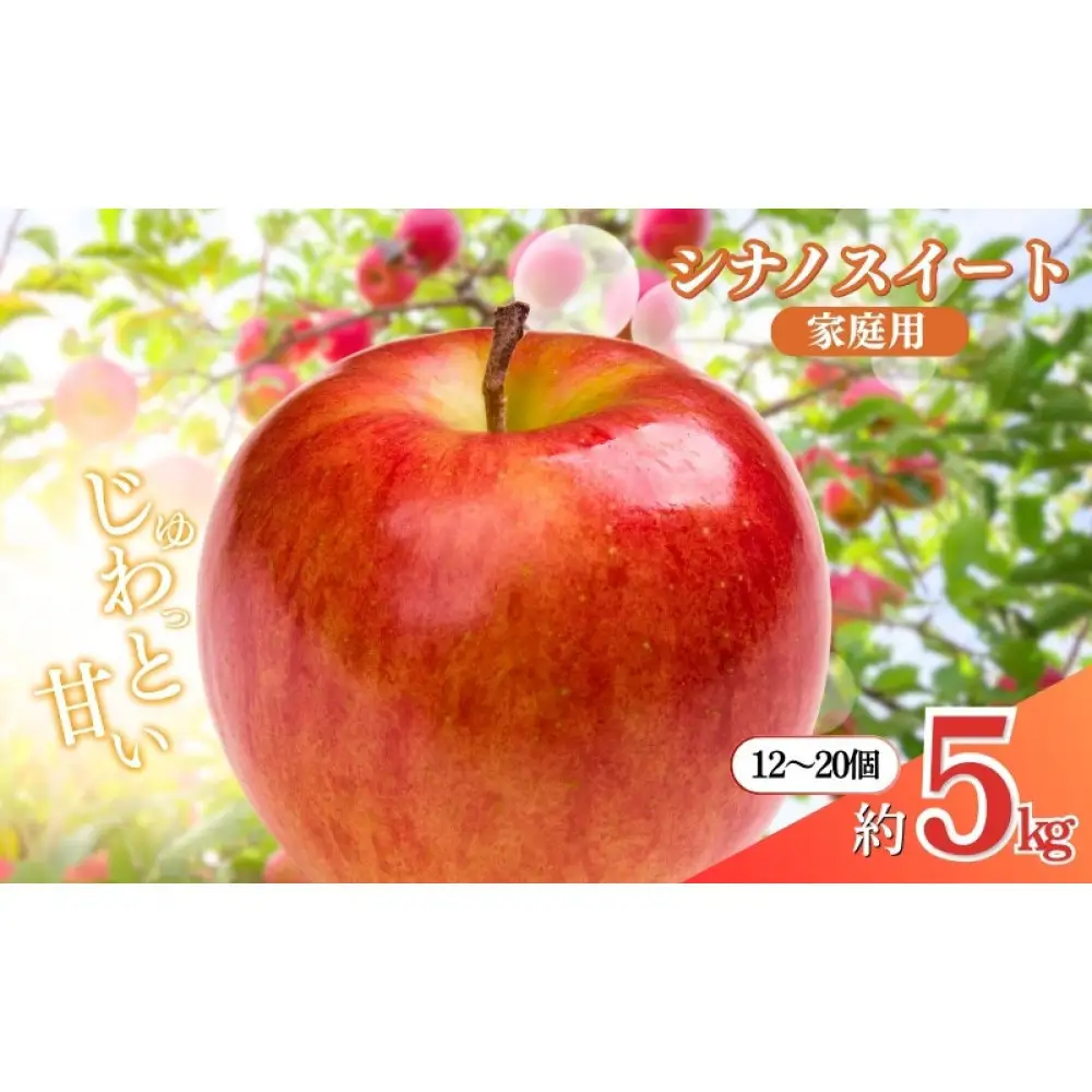 長野県 長野市産 シナノスイート 家庭用 5kg(12～20玉)【2026年10月下旬頃発送予定】（矢島農園） | りんご フルーツ 果物 りんご