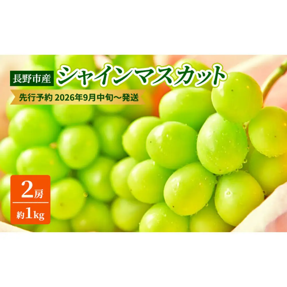 長野市産シャインマスカット2房（約1kg）【2026年9月中旬以降の出荷分】（本気農場いけだ）