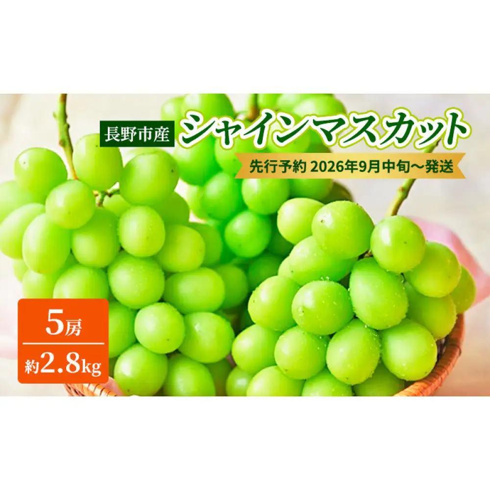 長野市産シャインマスカット5房（約2.8kg）【2026年9月中旬以降の出荷分】（本気農場いけだ） | シャインマスカット ぶどう フルーツ 