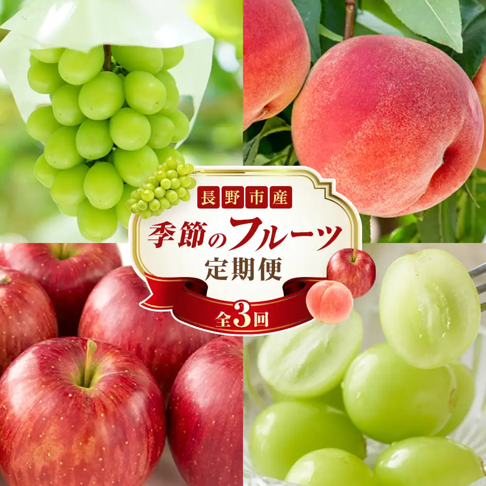 長野県 長野市産 〇季節のフルーツ〇8月～10月定期便　桃・シャインマスカット・シナノスイート ※オンライン限定　(矢島農園) |桃 ぶどう りんご