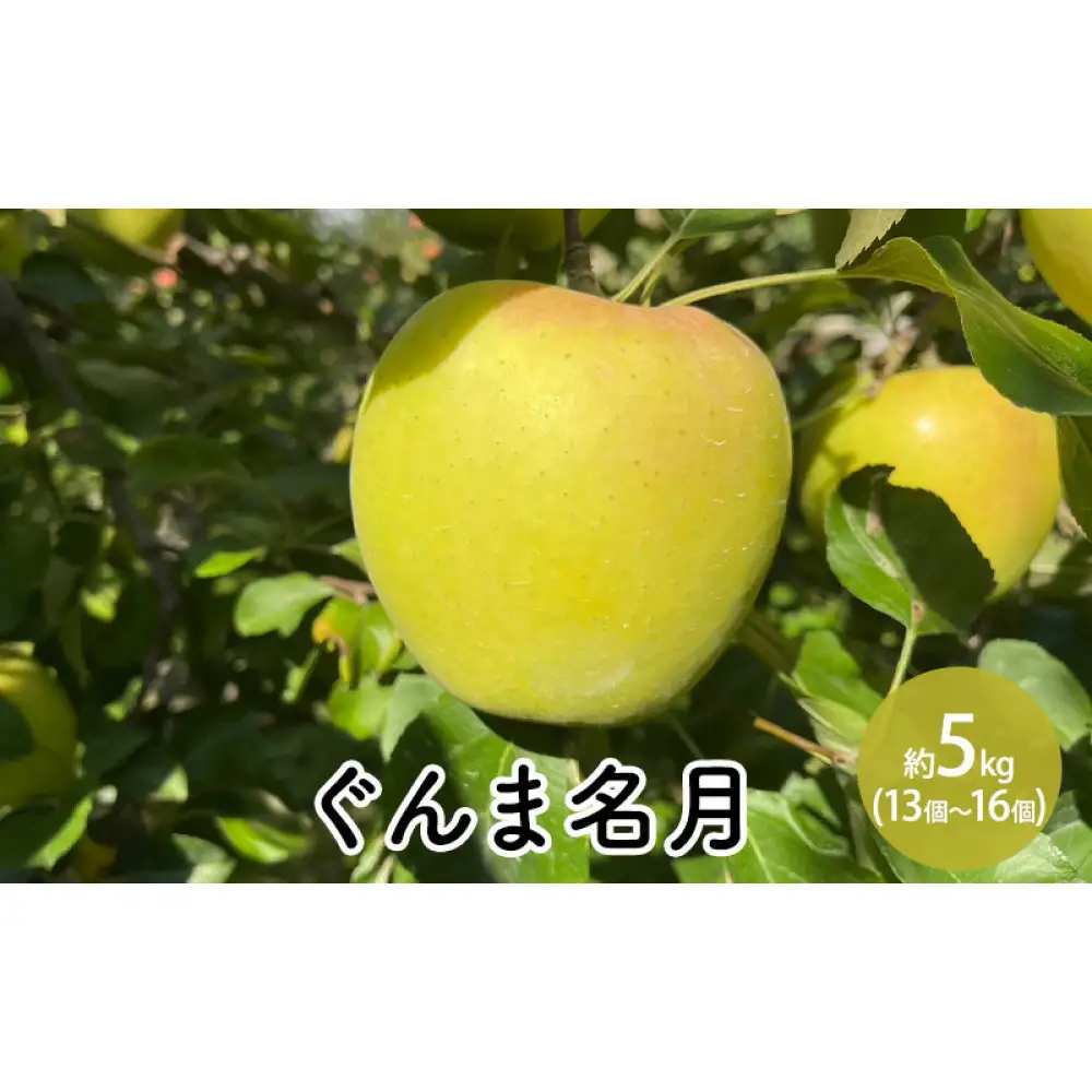 ぐんま名月約5kg（13個～16個） | りんご フルーツ 旬 りんご