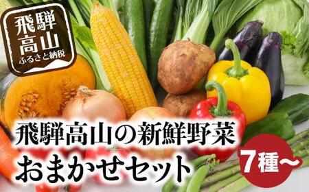 飛騨高山の新鮮野菜 おまかせセット | 野菜 おまかせ 詰め合わせ やさい 果物 くだもの ご当地 フルーツ 飛騨高山 まるっとプラザ BA007