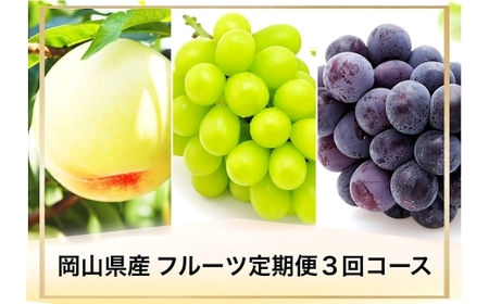 【 全3回定期便 】 岡山県産 フルーツ定期便 ＜ お一人様向け ＞ 白桃 ピオーネ シャインマスカット 果物 くだもの フルーツ ぶどう もも ブドウ モモ 葡萄 桃 化粧箱 贈り物 贈答用 ギフト プレゼント 定期便 【 2026年7月上旬～9月下旬迄発送予定 】