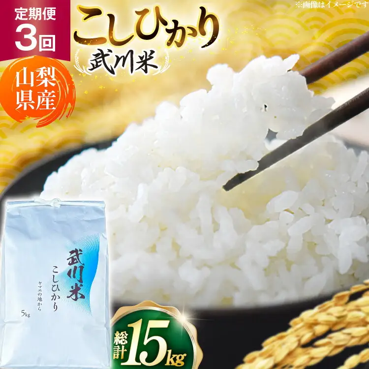 【数量限定】 米 定期便 3回 令和8年産 こしひかり 5kg 山梨県産 武川米 [ヤマエ株式会社 山梨県 韮崎市 20745400]