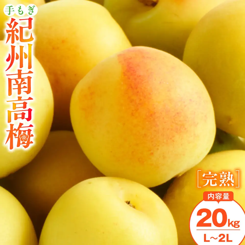 手もぎ 完熟南高梅 20kg L～2Lサイズ 谷本農園
