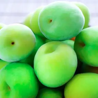 手もぎ 青梅 南高梅 20kg L～2Lサイズ 谷本農園