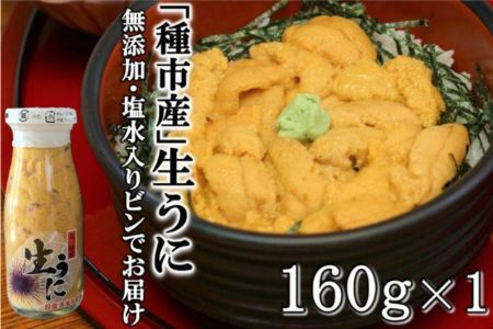 「種市産」天然生うに 160ｇ×1本 ミョウバン不使用 無添加 本州一 増殖溝 北三陸 塩水 牛乳瓶入