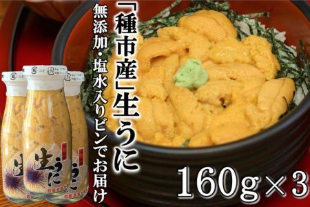 「種市産」天然生うに 160ｇ×3本 ミョウバン不使用 無添加 本州一 増殖溝 北三陸 塩水 牛乳瓶入