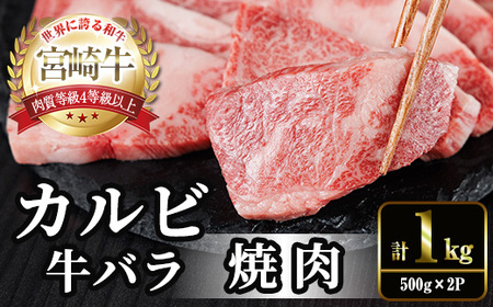 宮崎牛 カルビカット 焼肉 (計1kg・500g×2) 焼肉 お肉 牛肉 黒毛和牛 宮崎牛 ブランド和牛 冷凍 国産 宮崎県産 カルビ バラ 【YM-35】【YAMATO株式会社】