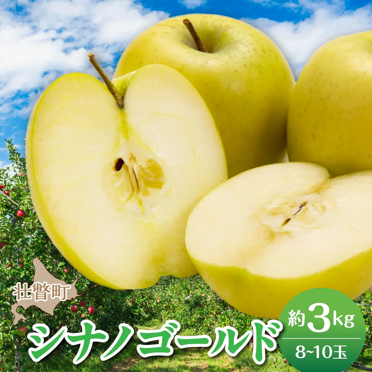 ＜2026年11月上旬よりお届け＞北海道壮瞥町　りんご　品種名「シナノゴールド」8～10玉約3kg SBTF020