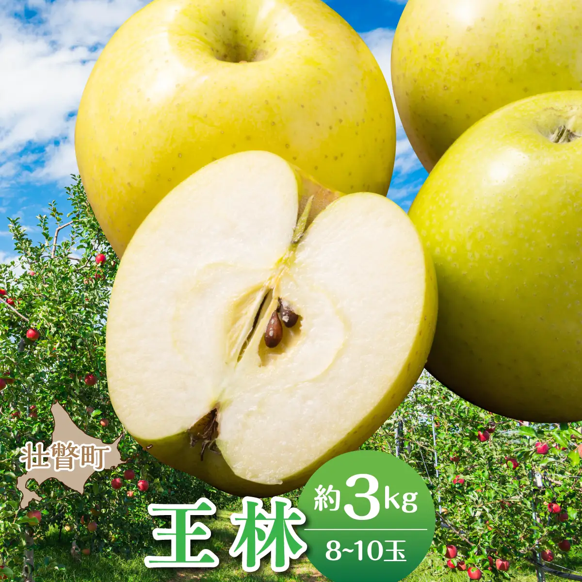 【先行予約】＜2026年11月中旬よりお届け＞北海道壮瞥町　りんご　品種名「王林」8～10玉約3kg SBTF024