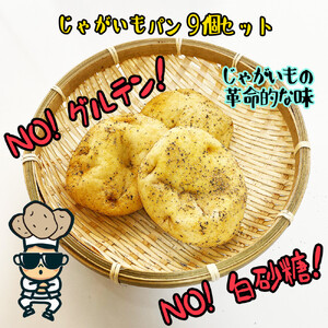【江南スタイル】じゃがいもパン9個セット｜ ジャガイモパンカムジャパン 手作り 菓子パン 冷凍パン おやつ 詰め合わせ 個包装 栃木市 栃木県