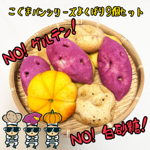 【江南スタイル】こぐまパンシリーズよくばり9個セット ｜サツマイモパン ジャガイモパン　カボチャパン コグマパン カムジャパン ホバクパン 手作り 菓子パン 冷凍パン おやつ 詰め合わせ 個包装 栃木市 栃木県