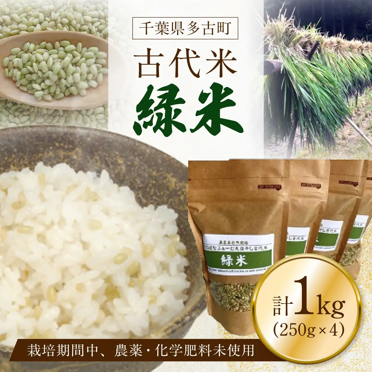 栽培期間中農薬化学肥料不使用の古代米「緑米」250g×4_ 玄米 米 こめ コメ_【配送不可地域：離島・沖縄県】 TAKJ003