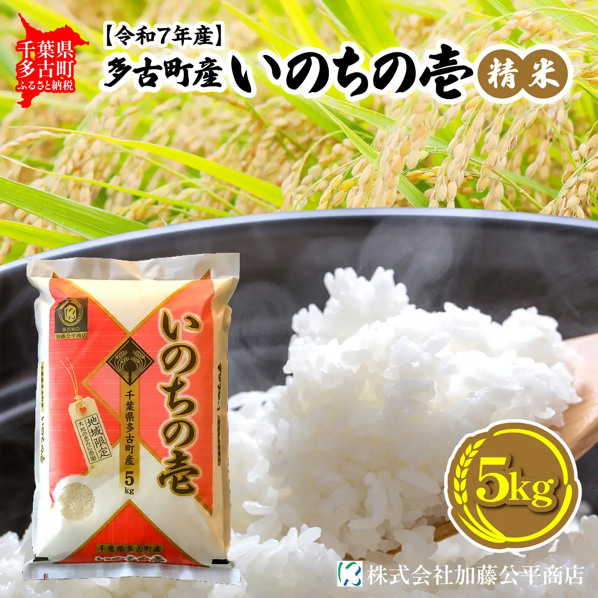 【令和7年産】多古町産いのちの壱 精米5kg_ 精米 米 _【配送不可地域：離島・沖縄県】 TAKE004