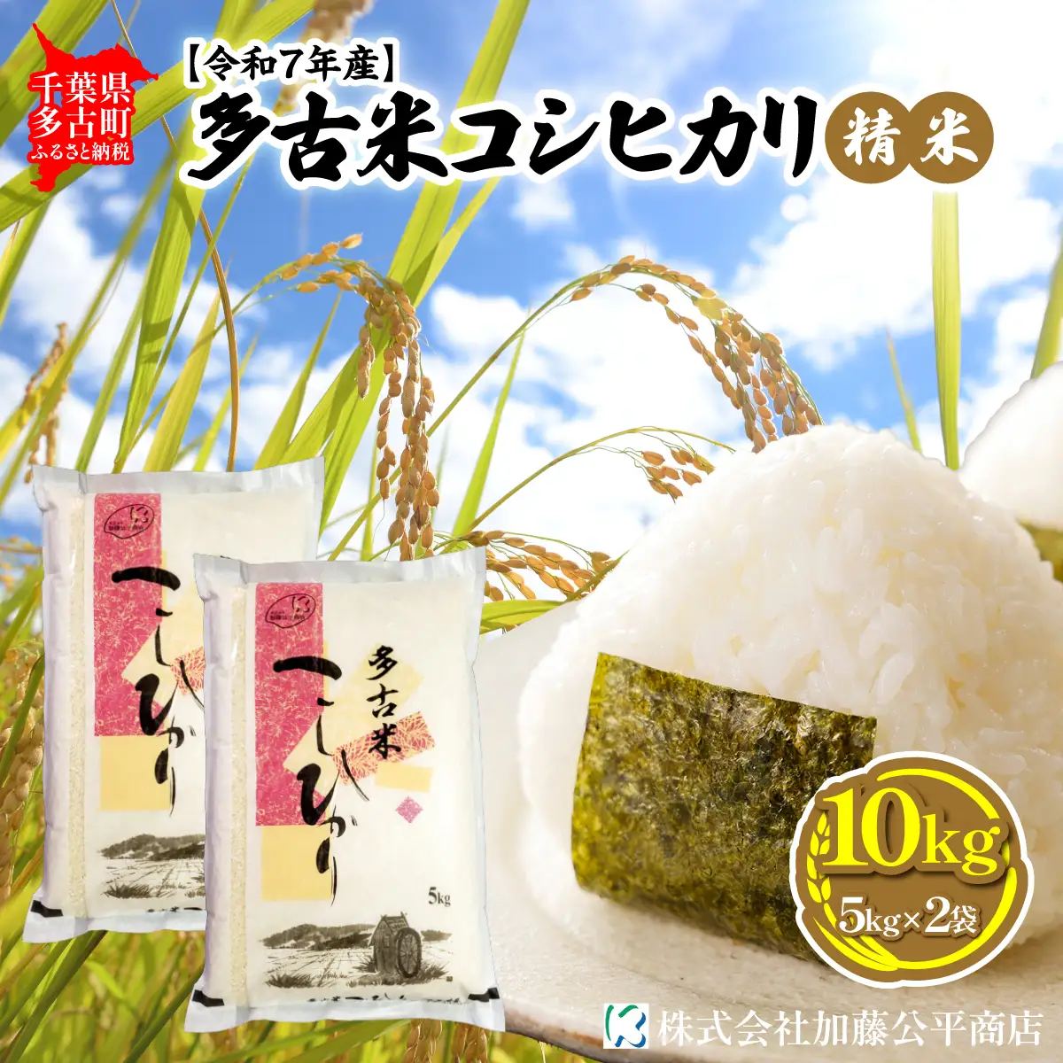 【令和7年産】多古米コシヒカリ 精米10kg(5kg×2袋)_ 精米 米 _【配送不可地域：離島・沖縄県】 TAKE002