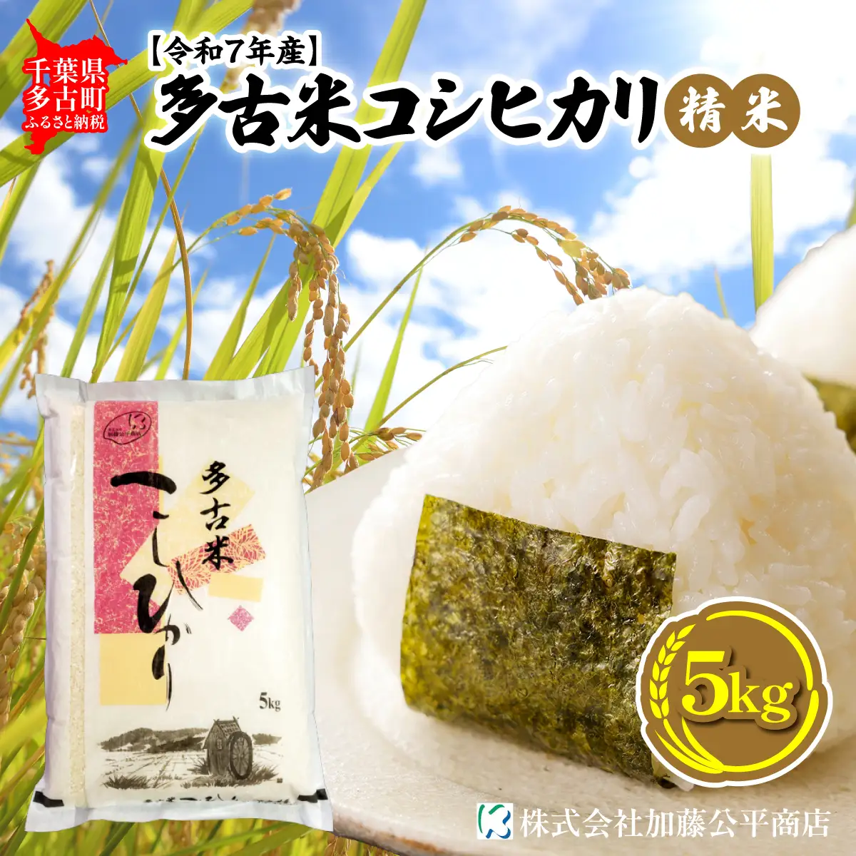 【令和7年産】多古米コシヒカリ 精米5kg_ 精米 米 _【配送不可地域：離島・沖縄県】 TAKE001