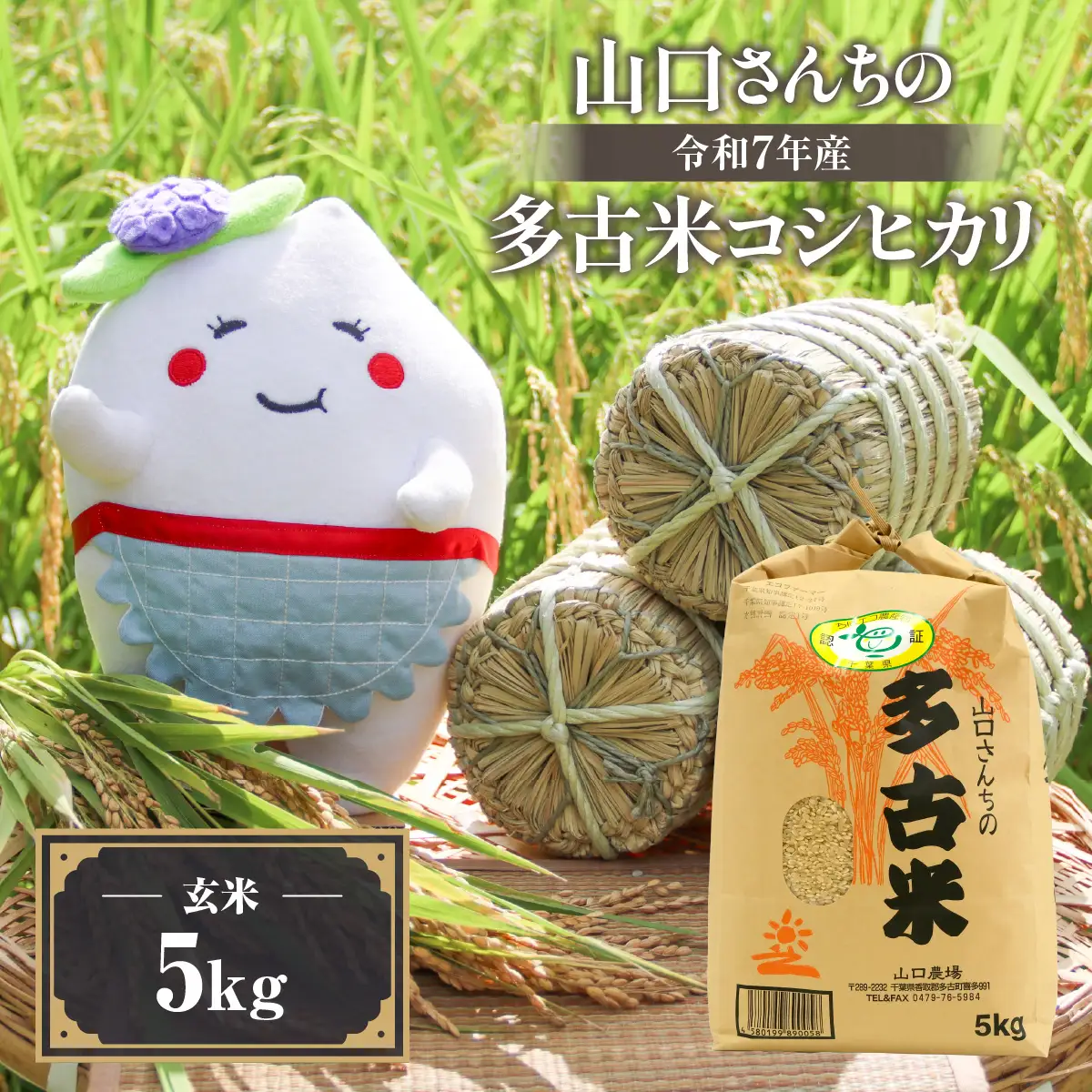 山口さんちの【令和7年産】多古米コシヒカリ(玄米)5kg_ 玄米 米 こめ コメ   コシヒカリ 米 こしひかり 【配送不可地域：離島・沖縄県】TAKF045
