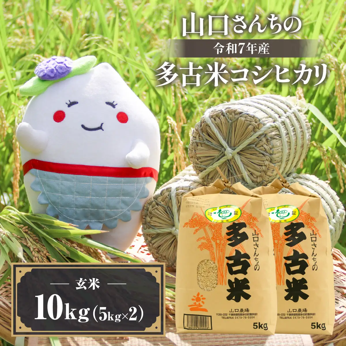 山口さんちの【令和7年産】多古米コシヒカリ(玄米)10kg_ 玄米 米 こめ コメ   コシヒカリ 米 こしひかり【配送不可地域：離島・沖縄県】 TAKF046