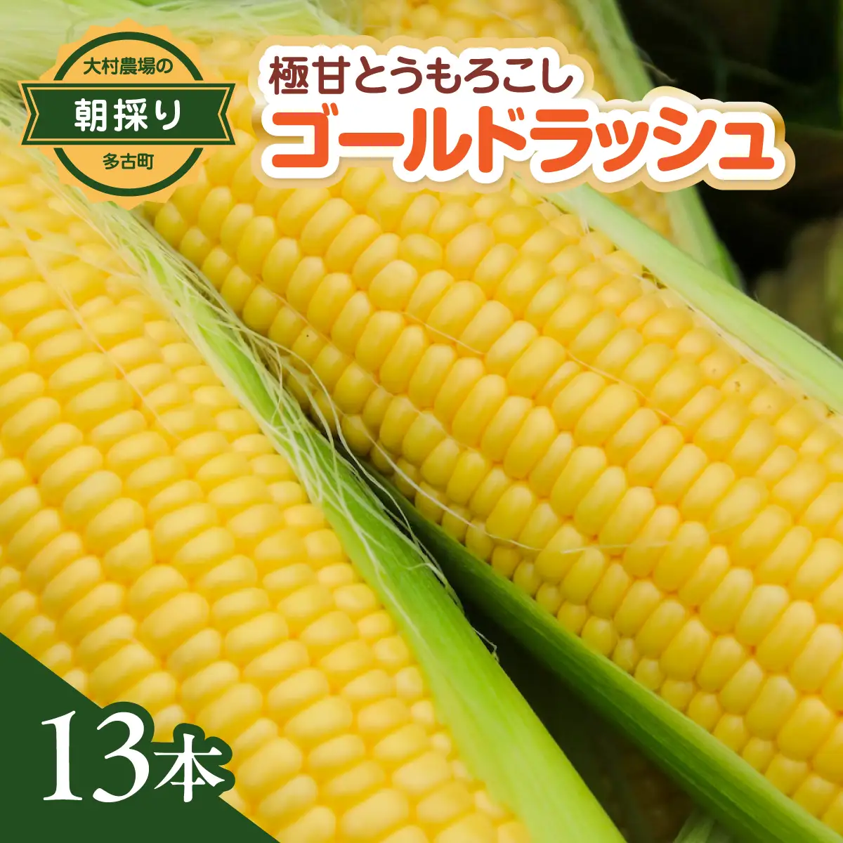 大村農場の朝採り極甘とうもろこしゴールドラッシュ13本(6月下旬から発送)_野菜 とうもろこし  トウモロコシ_【配送不可地域：離島・沖縄県】【1508995】 TAKG002