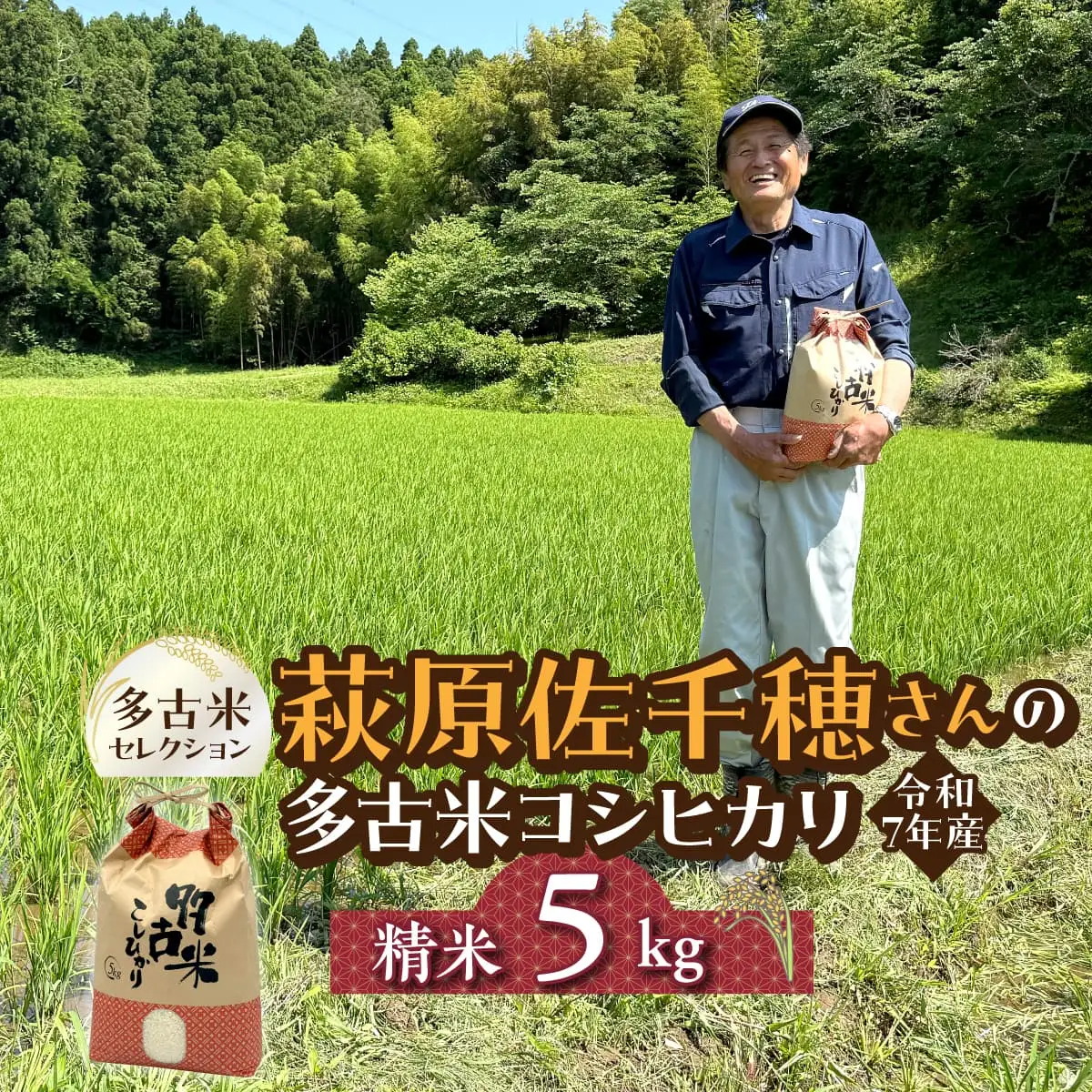 多古米セレクション　萩原佐千穂さんの多古米コシヒカリ　精米5kg　令和7年産_多古米 コシヒカリ 精米 令和7年産_【配送不可地域：離島・沖縄県】米 精米 コシヒカリ 千葉県産 TAKF059