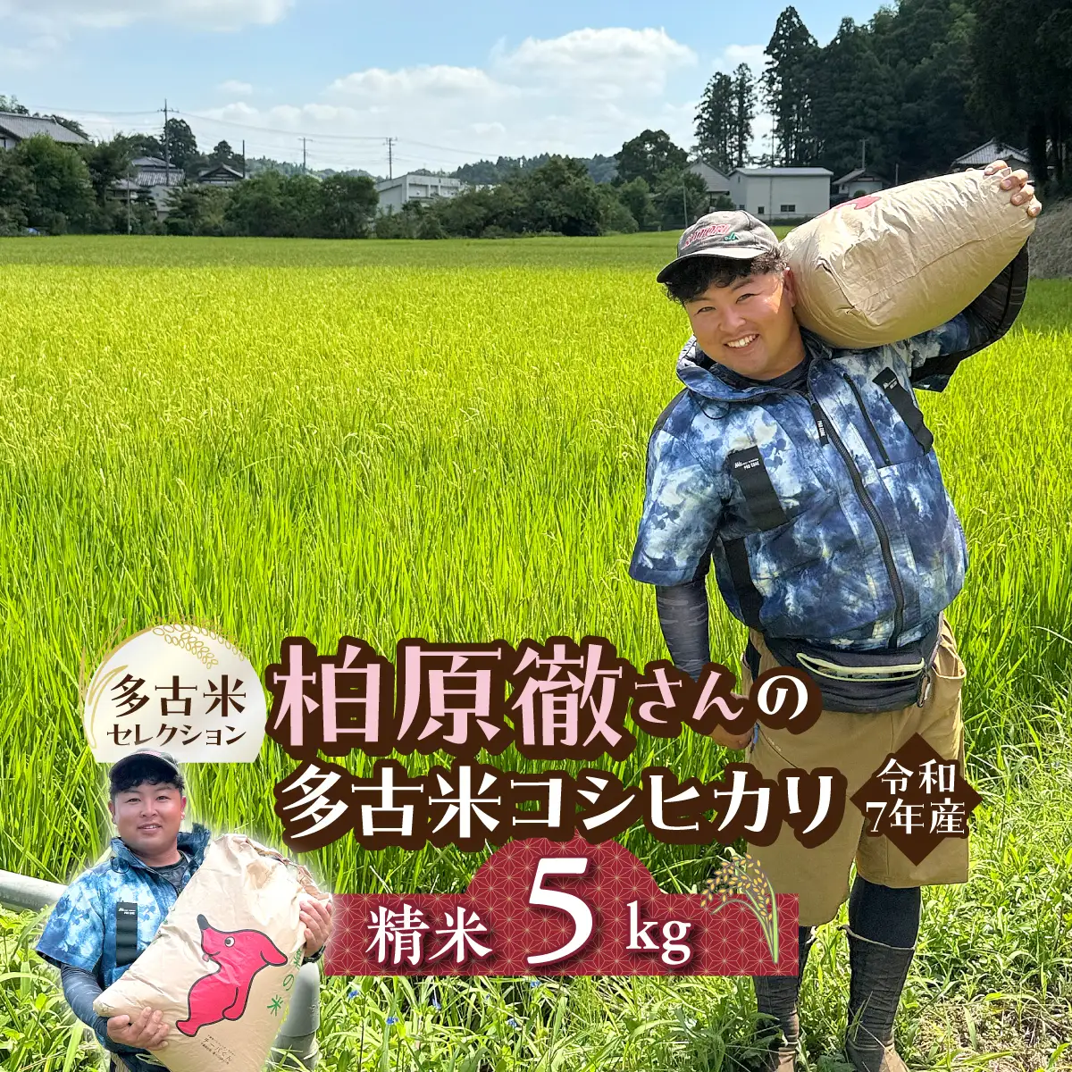 多古米セレクション　柏原徹さんの多古米コシヒカリ　精米5kg　令和7年産【配送不可地域：離島・沖縄県】米 白米 精米 千葉県産 TAKF061